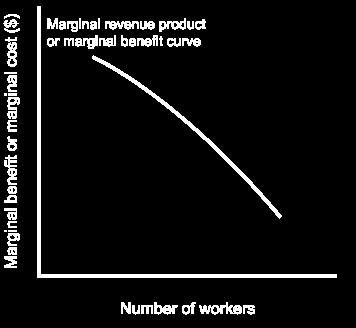 Föreläsning: Företagets efterfrågekurva för arbetskraft är helt enkelt samma sak som marginalintäktsproduktskurvan.