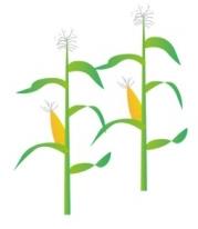Cost Factors of agro-food