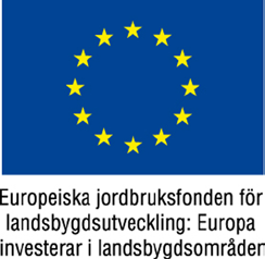 dokumentation inom projektet