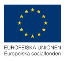 Plug in Södra Småland och Kalmar län - fler elever klarar gymnasiestudierna!