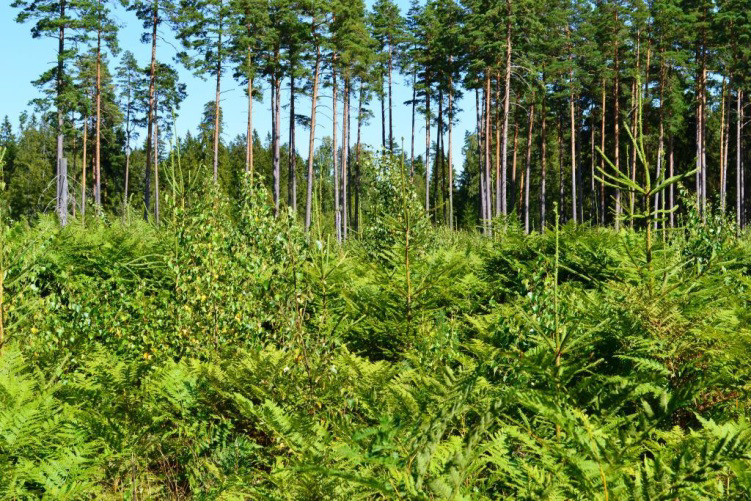 gården. Kostnaderna för ny ägare och ny användning kan komma att skilja sig avsevärt. Vissa av kostnaderna har beräknats enligt schablon.
