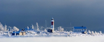 Nr 2 2011/2012 Årg. 27 Gåsören i vinterskrud är en förtrollande skön bild på kretsens första webbsida.