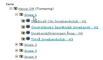 2010-06-11 Sida 2 av 8 Skapa serie När en ny säsong är skapad kan dess serier läggas upp. Nedan följer en beskrivning hur en serie skapas i IDA. Möjlighet finns att skapa över- och underserier.