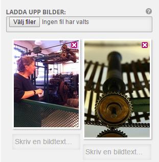 Bild 5 - Detaljvy med Huvudkategori, Kategori, Rubrik och Beskrivning på sajten Ladda upp bilder Här kan du ladda upp bilder