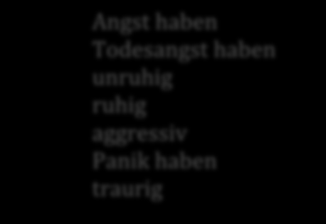 Fragen: Antworten: Ich möchte Hilfe! Er macht eine Ausbildung zur Krankenschwester. Sie müssen Todesangst haben. Nadel und Faden Ich spreche nicht Deutsch.