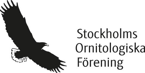 Kungsörn Sverige och Stockholms Ornitologiska