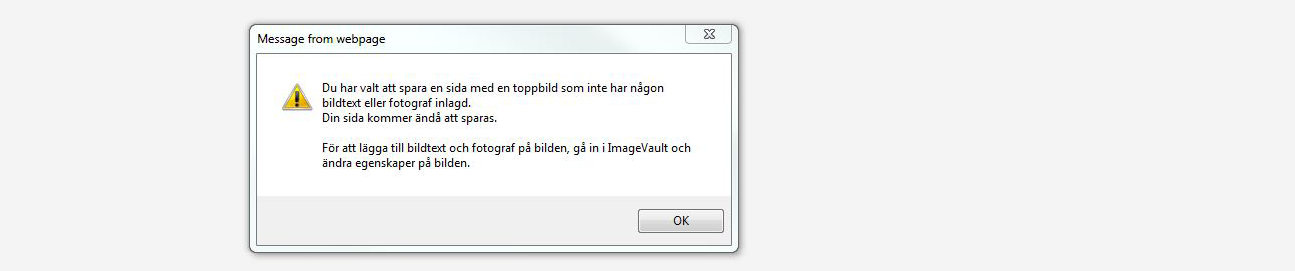 Om ingen bildtext är inlagd kommer en varningstext att synas när du ska publicera sidan där bilden är bifogad.