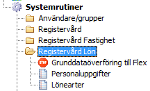 Menypunkter lön (15556) För de kunder som nu kör Flex lönesystem, så återfinns de menypunkter gällande lön som behövs under systemrutiner/registervård lön.