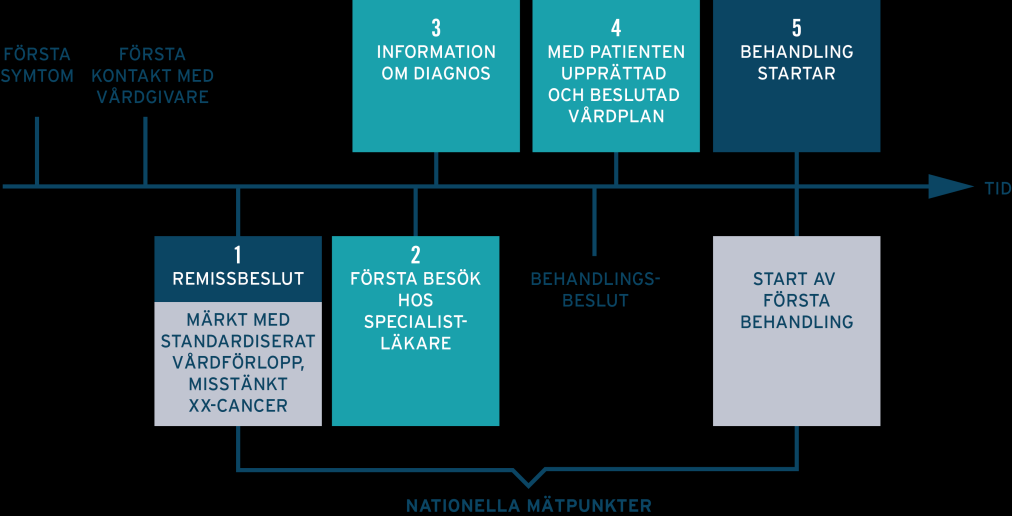 Många parallella processer pågår inom cancervård för att förbättra och utveckla tillgänglighet av vård (se Cancerstrategi Gävleborg; RCC Uppsala Örebro Cancerplan 2014-2015).