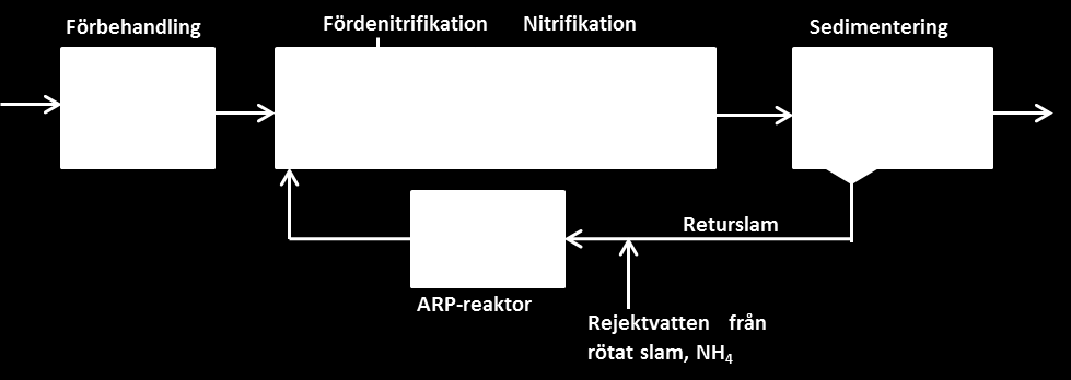 Figur 3-4. Blockschema över aktivslamprocess med fördenitrifikation och SSH-volym. 3.1.3.6 Aktiv returslamprocess (ARP) I aktivreturslamprocessen luftas hela returslamflödet i en separat volym där ammoniumrikt rejektvatten tillförs, se Figur 3-5.