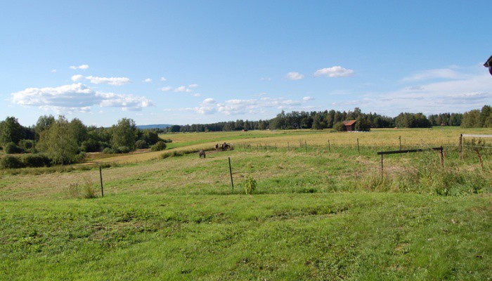 Län Dalarna Gatuadress Kommun Borlänge Storlek 3.