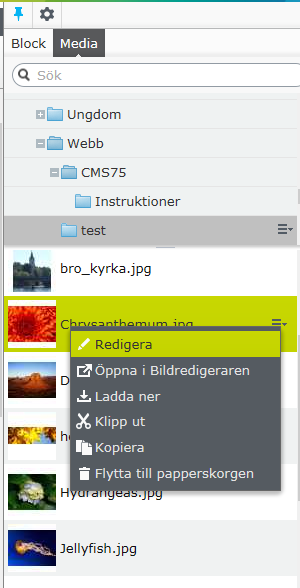 Arbeta med bilder på sunne.se i CMS 7.5 Sida 7 av 9 Det är mycket lättare att markera bilden och redigera den direkt i mediahanteraren än på sidan.