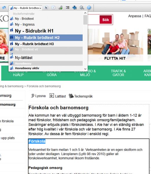 Exempel på underrubrik nivå 2 (Förskola) och nivå 3 (Pedagogisk omsorg): c.