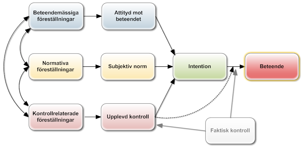 Theory of planned behavior principskiss Källa: Modifierad från Ajzen, I.