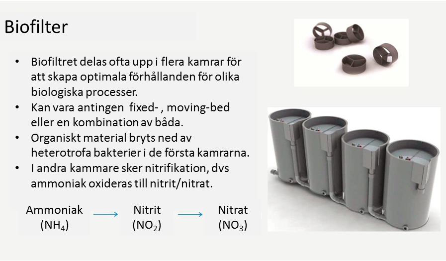 Appendix 1 RAS Figur A1.3 Funktion av biologiskt filter (nedre bilden) samt filtermaterial (övre bilden) (Illustration AKVAgroup, modifierad av M. Langeland).
