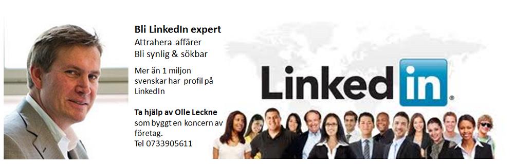 Varför LinkedIn? I alla tider har kontakter gjorts framgångsrikt genom personliga referenser.