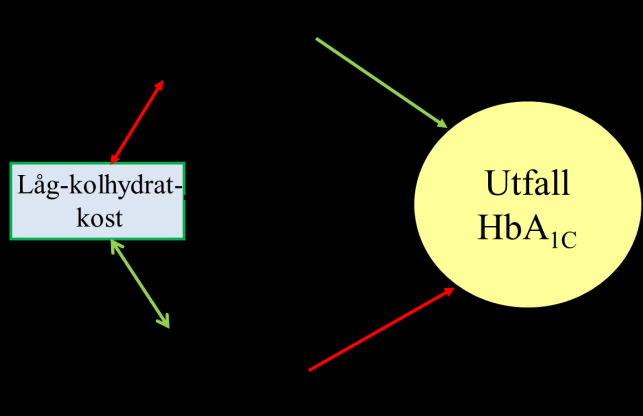 låg-kolhydratdiet (blå ruta) och utfallet HbA 1C (gul cirkel). Det är känt att hypertriglyceridemi leder till förhöjda HbA 1C -värden.