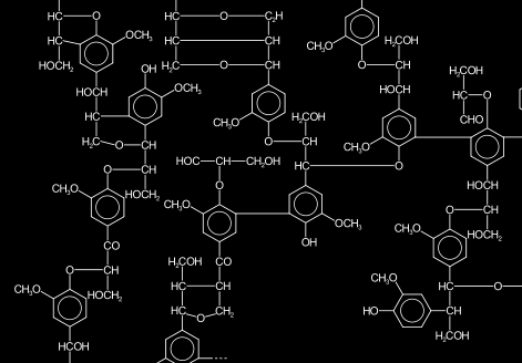 Figur 5 (t v). Ett avsnitt av en ligninmolekyl. Figur 6 (t h). Exempel på en lignanmolekyl, Lignan A. Pilarna pekar på de två så kallade fenylpropanoid-enheterna som är karaktäristiska för lignan.