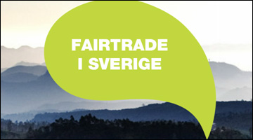 27 Svenska konsumenter köpte Fairtrade-märkta produkter för i genomsnitt 208 kronor per person under 2013. För 2012 var siffran 164 kronor.