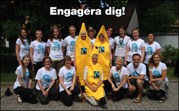 32 Drygt 60 städer i Sverige är Fairtrade City Fairtrade City är en diplomering till städer som engagerar sig för rättvis handel och etisk konsumtion.