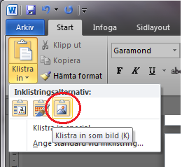 ATT ANVÄNDA ACTA-MALLEN 2013 Kopiera en bild och klistra in Detta tillvägagångssätt använder du om din bild inte finns som självständig bildfil utan redan är monterad i ett annat MS Officedokument.