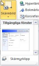 Du kan Infoga Diagram i Word 00. När du gör detta kommer en ny dialogruta att dyka upp. Med funktionen Skärmbild kan du klippa ut olika delar av skärmen, precis som i en skärmdump.