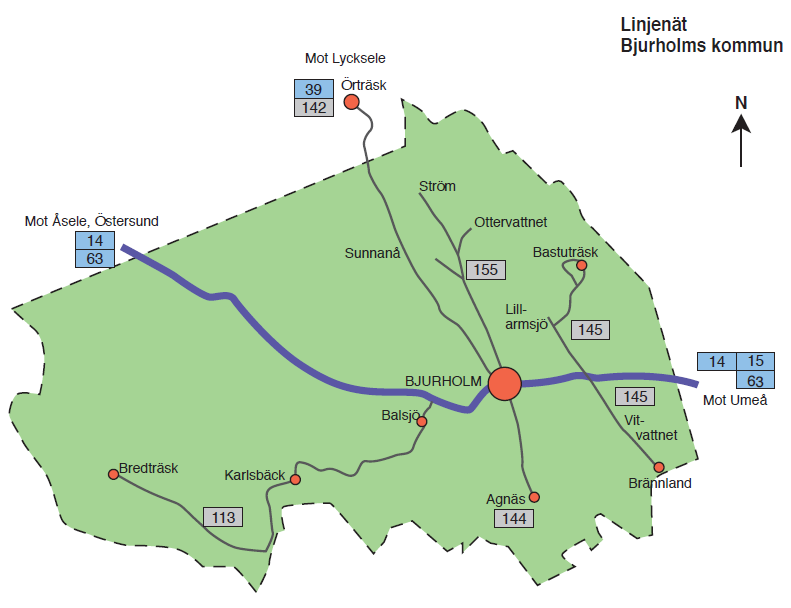 Linjetrafik inom och genom kommunen Stomlinjetrafik Linjetrafik till och genom kommunen som bekostas av landstinget Linje 14 Umeå Åsele, med stopp i Bjurholm Linje 15 Bjurholm Vännäs Umeå Linje 39