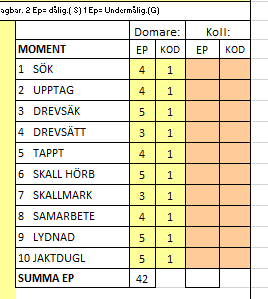 När samtliga kommissarieuppgifter nu är ifyllda skall du ge filen ett unikt namn (Namnet skall bestå av TTF-nummer och Lokalavdelningens namn; t.ex. 20130901-007_SsBlK.