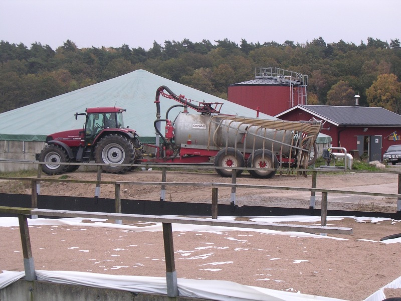 Biogas från slaktsvinsproduktion Det produceras ca 14 m 3 gödsel från 2000 slaktsvinsplatser per dag och reaktor volym som behövs för att röta gödseln blir ca 300 m 3 liksom i exemplet med mjölkkor.