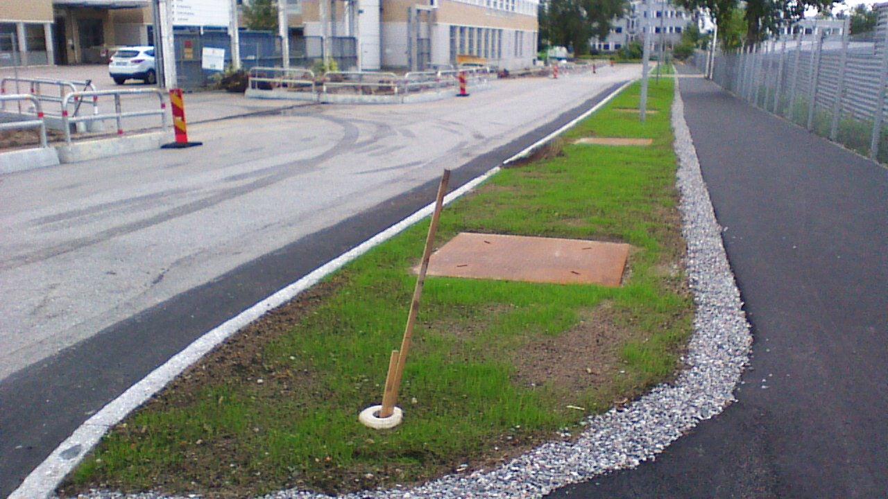 Obs ingen geotextil i botten på växtbädden
