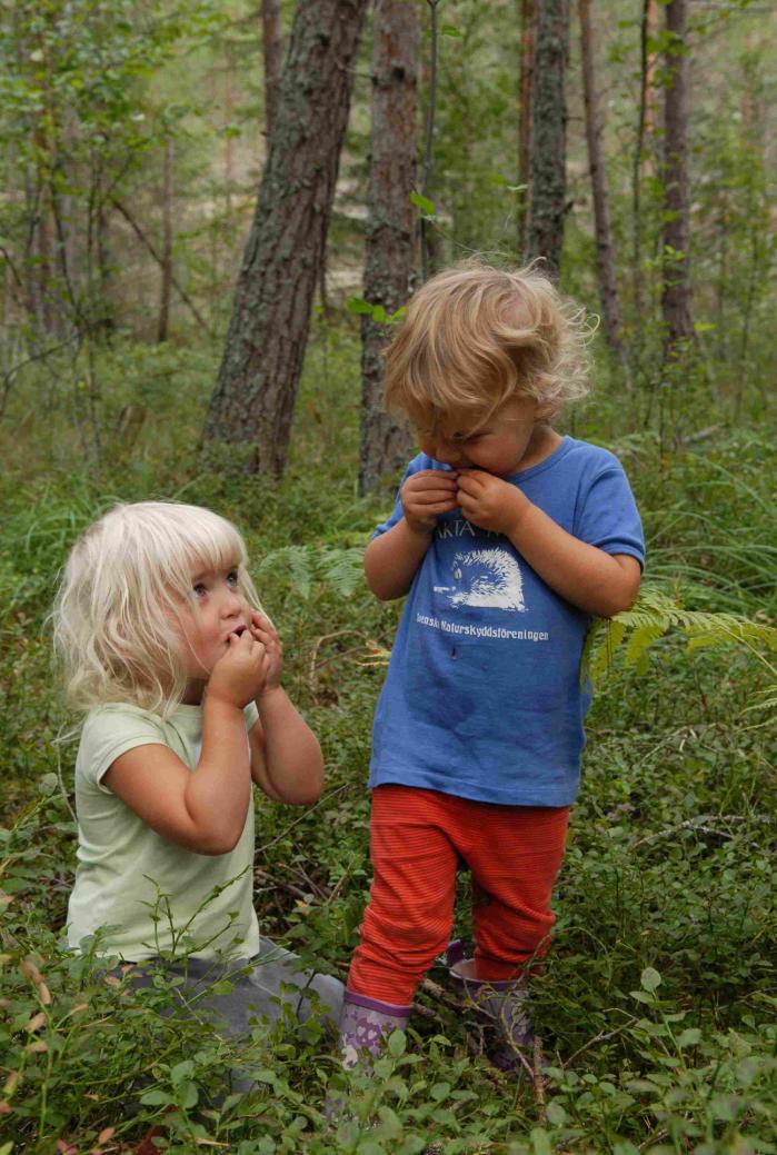 Verksamhetsriktlinjer STÄMMANS BESLUT OM RIKTLINJER 2011-2014 Naturskyddsföreningen ska verka för: att barn- och familjeverksamhet på sikt bedrivs av minst hälften av kretsarna en närvaro i skolan