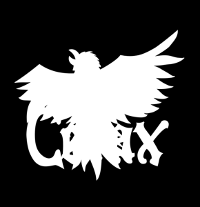 Strategi för Corax medlemsrekrytering Verksamhetsåret