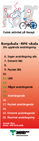 PLATS GRUPP