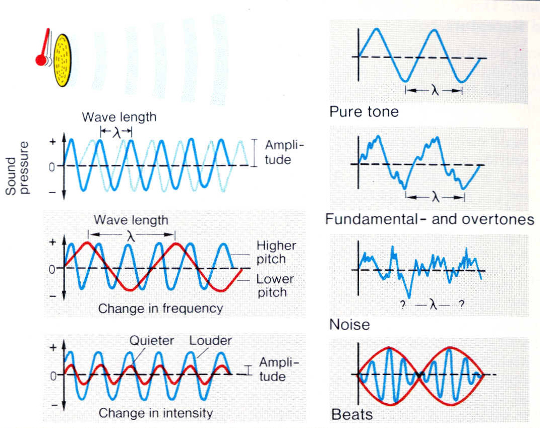 Vad innebär en hörselnedsättning? Vad är ljud?