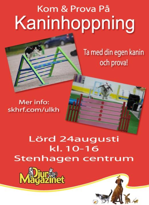 Besökare får ta med sin egen kanin och under hjälp av medlemmar försöka lära sin kanin att hoppa. Vill de sedan får de anmäla sig till miniklass. Startavgift miniklass: 15:- Vill du vara med?