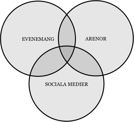 Digitaliserade arenaupplevelser I den forskningslitteratur som berör arenaupplevelser finns idag en relativt god förståelse för hur dessa formas inom ramen för det fysiska rummet.