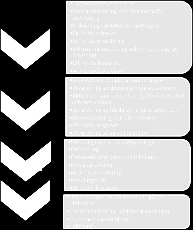 DLM-stegen Följande stege beskriver för tredjelandsmedborgare med låg utbildning den process som leder till integration på arbetsmarknaden genom föreningar och andra aktörer.