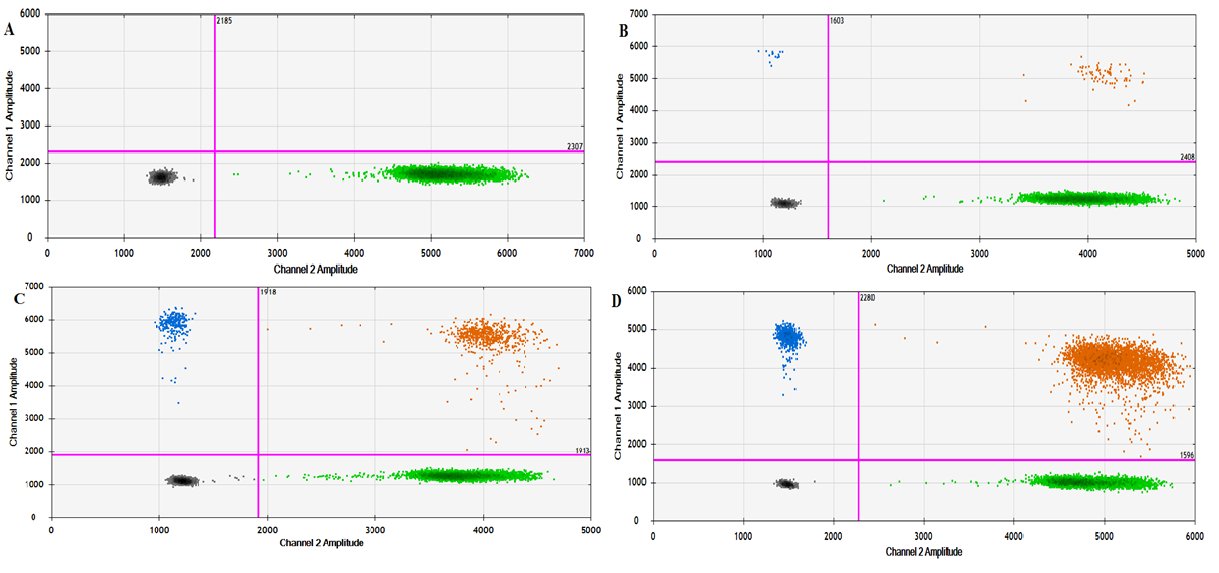 Resultat A B 0,69 % C D 9,97 % 57,5 % Exempel på en 2D ddpcr plot från patienter med olika PVL.