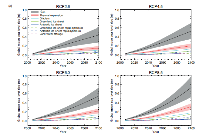 Figur 4 Grafer över hur havsnivån beräknas stiga enligt de fyra klimatscenarierna som IPCC tagit fram. Minst påverkan kommer RCP2.