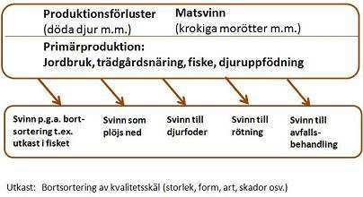 BILAGA 2 Produktionssvinn. För primärproduktionen använder vi begreppet produktionssvinn. Det är inte helt klart vad som bör anses vara matavfall eller matsvinn inom primärproduktionen.
