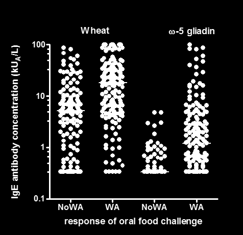 Omega-5 gliadin är bra markör för veteallergi IgE mot vete och ω-5 gliadin bland veteallergiska och icke veteallergiska WA=vete allergiska 137 positiva i provokation 36