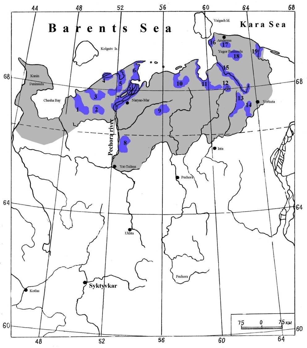 Mineev Y. N. & Mineev O.Y. area covered by aircraft areas with permanent transects (boating and walking routes) 1. Indiga River basin (1998) 2. Urdjuchzskoe lake area (1979,1982, 1986) 3.
