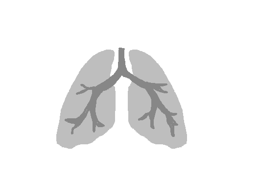 Inhalation av steroider 3/4 1/4 Plasma