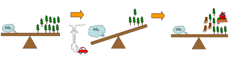 Växthuseffekten Det har samlats alltför mycket kol i form av koldioxid i atmosfären. Vad gör det, kan man fråga sig?