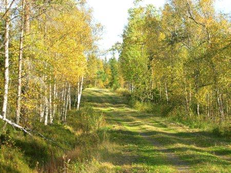 God kunskap i tidigt skede Bidrar till rätt innehåll i kalkyler samt till den