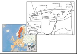 forskning om ordovicium i Skåne. 1.2 Fågelsångsdalen Längs med Sularpsbäcken, sydväst om Södra Sandby i Lunds kommun, Skåne, ligger Fågelsångsdalen (Fig. 3 o ch 4 ).