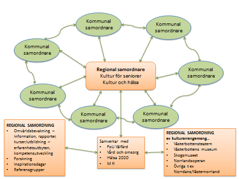 Bild 2 Bild 2 illustrerar den kommunala samordnaren samt ett nätverk av lokala och regionala aktörer och som tillsammans kan arbeta för att utveckla samarbeten för främjandet av