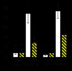C o rtis o l (n g /m l) Konklusion Tillväxt & Fenskador - Skydd påverkade tillväxt negativt Mindre aktiva - Låg densitet minskar fenskador - Skydd minskar fenskador Mindre interaktion/aggression 3 0