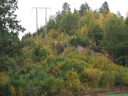 Varkullen, Jönköpings län Varkullen den 26 september 2009. Fint hasselmusområde i Jönköpings län med sydexponerad kraftledningsgata av rikare typ.