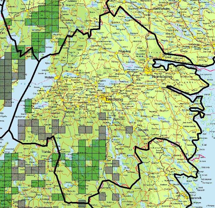 ÖSTERGÖTLAND N Atlasrutor (5x5 km) med fynd av hasselmus i Östergötlands län. Gröna atlasrutor är Boris Berglunds fynd, grå rutor är fynduppgifter från andra källor.